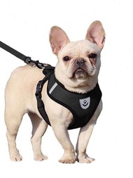 寵物貓狗牽引帶,帶防逃逸可調節胸背帶,反光安全繩和項圈套裝,柔軟透氣網狀材料,適合小型、中型和大型寵物