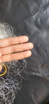 Sigay Yari na | Panti | Fortune Fish net | Pante | Lambat na may Tingga | Pokot ng isda Pang ilog Fi