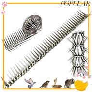 POPULAR Anti-Bird Spikes, Balcony Eave Sills Entangle Anti  Spikes,  Stainless Steel Bird Scare Tele