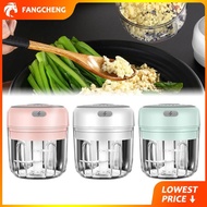 Chopper Blender Grinder garlic chopper pengisar serbaguna food chopper electric wireless chopper man