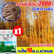 💥แค่1ซองป่าไผ่ให้เป็นพื้นที่รกร้าง💥ผงกำจัดกอไผ่ 500g สารกำจัดกอไผ่ ซื้อ2แถม1 ยาฆ่ากอไม้ไผ่ รากต้นไม้