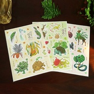 珍奇植生物貼紙-觀葉植物-鹿角蕨-龜背芋-龍舌蘭