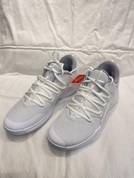 Nike Hyperdunk X Low 10 男款白色籃球鞋 (35-46碼) White Pure Platinum