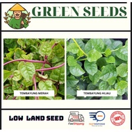 【GREEN SEEDS】🥬Benih Tembayung Hijau dan Merah (50-76 seed) / Spinach seeds (Malabar Spinach/Red Ceyl