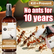 Ant Killer Ubat Semut Buster Semburan Semut Anti Ant Killing Spray