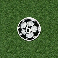 2021/22 Football patch Football badge Ball UCL patch  La Liga Serie A Ligue 1 Bundesliga