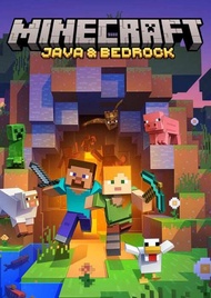 Minecraft Java & Bedrock Edition RECOMMENDED SELLER