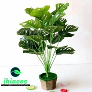 BESTT!!!! BUNGA MONSTERA PLASTIK DAUN MONSTERA BUNGA PLASTIK TANAMAN