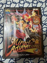 NEOGEO 遊戲 Miracle Adventure