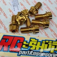 Probolt gold flower starfruit H4 brake hose to caliper/master brake coarse thread 1.25 heng thailand