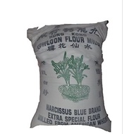 HONG KONG Daffodil Wheat FLOUR - HONG KONG KOWLOON FLOUR MILLS