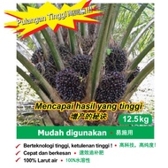 repack 1kg baja sawit buah Sawitron fertilizer baja sawit meningkat hasil dan pembesaran buah kelapa sawit 油棕肥