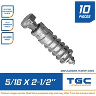 10 PCS 5/16 x 2 1/2 inches Lag Screw with Expansion Shield Galvanized TGC Lagscrew with Shield Expan