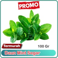 Daun Mint segar kemasan 100 gr
