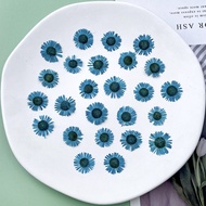 【Stylish】 24pcs/1.5-2cm Natural Needle Petals Pressed Flower Diy Dripping Glue Mobile Bookmark Photo