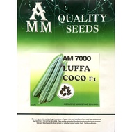 Benih Petola ( AMM ) AM7000 Luffa Coco F1 - ( 100g ) 👍 💯