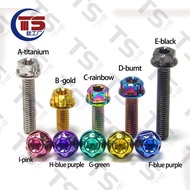 TS M4 Titanium Bolt M4X8/10/12/15/20/25/30/35mm Alloy Inner Outer Torx Modified Screw Engine Upper P