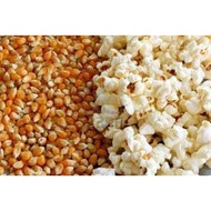 Popcorn Kernel 爆米花玉米粒