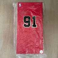 全新 Enterbay Rm-1059 NBA Chicago Bulls Dennis Rodman 丹尼士洛文 芝加哥公牛隊