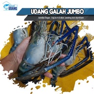 Udang Galah Besar 1kg isi 7-15 Ekor Fresh - Udang Galah Jumbo Fresh