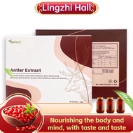 Ready Stock,Siap新版GoHerb Antler Extract Go Herb 护肾王 30包 Kidney Supplement Kidney Repair 护肾保健品 肾