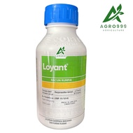 Loyant /DOW Agroscience Racun Rumput Padi 500ml