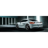 Original Techart Spoiler for Cayman/Boxster 981