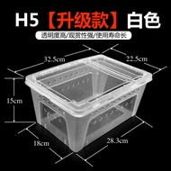 NOMOY Gecko Box LARGE Hamster Feeding Cage Reptile/ Gecko/ BD LARGE H5/ 32x22x15cm
