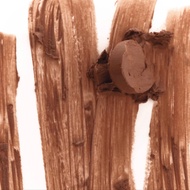 *พร้อมส่ง* RHODE Lip Shape Contouring Lip Shaper 0.75g (CHOOSE ONE COLOR)