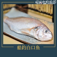 【北海漁鋪】船釣白口魚(350-400g(2~4尾)/包)*4包