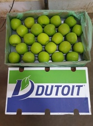 IR Apel Hijau Granny Smith Africa 1 Dus (18 KG) Fresh Import