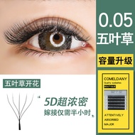 5D Five-Leaf Clover Eyelashes Fairy Clover Four-Leaf Clover Upgraded Version Beauty Eyelash Shop Ded