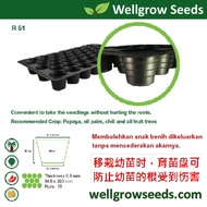 51 Holes Seedling Tray / Dulang Semaian 51 Lubang / 51孔育苗盘 for chilli, papaya,  palm oil &amp; fruit trees / 用于辣椒,木瓜,棕榈油和果树