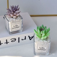ins Artificial Succulent Cactus Creative Potted Plant Decoration Green Plant Fake Flower Office Desk