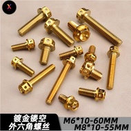 XS Screw Sprocket Hub Skru Footrest Gold Gold Blue Titanium YAMAHA Y15 LC-135 Skru Spocket Gantung