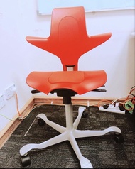 hag chair capisco