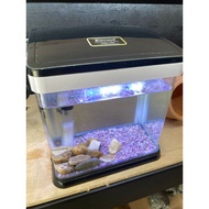 Kintons Mini Aquarium Kit Complete With Pump Filter LED Lighting (Complete Set)