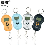 Weiheng Electronic Scale Portable Scale Portable Mini Weighing Express Scale Portable Electronic Sca