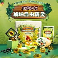 Amber Insect Elf Specimen Children Archaeological Excavation Toy Mystery Box Girl Gem Handmade Fossi