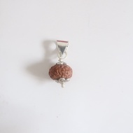 9 Mukhi (9 Face) Lab Certified Original Rudraksha Bead