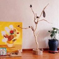 Wedding decorative natural tree branches for artistic arrangements, hotel lighting stands, bird bree