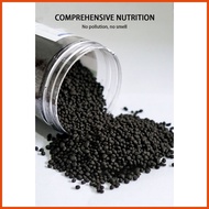 ☏ ♘ ◐ bougainvillea fertilizer 500g fertilizer for bougainvillea