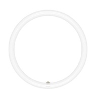 15W 20W 32W LED Circular Tube Fluorescent Tube (Daylight/Warm white)