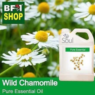 Pure Essential Oil (EO) - Chamomile - Wild Chamomile Essential Oil - 5L