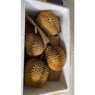 Promo DURIAN MONTONG SIAP MAKAN BUAT UTUH Limited