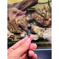 Yamaha S550 / S550B Power Cord – Good Quality Product