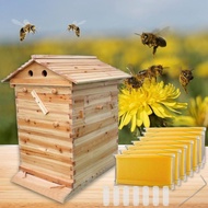 Water-boiled Larch Honeybee Hive Automatic Beekeeping Tool Automatic Honey Extraction Hive Self-Flow