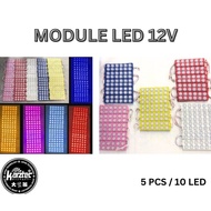MODULE LED 12V /12 LED ( 5 PCS/10 LED )