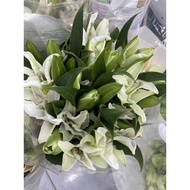 Express Delivery Fresh Lilies Sold In Packs Of 10 Flowers In A Vase Congratulations