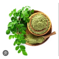 Moringa Oleifera Organik | moringa organic powder